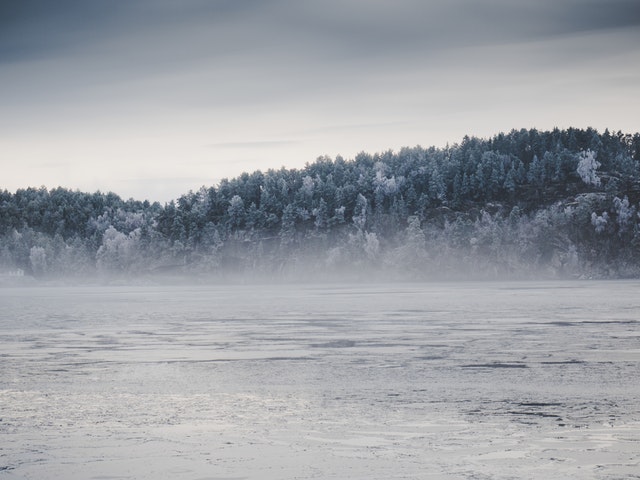zamrzlé jezero a les